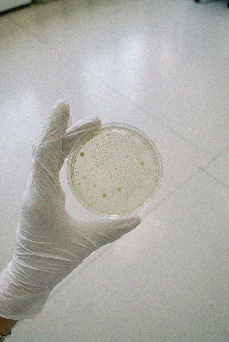 Microbiological safety
